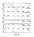 Fig. 52 - and HAC1 nucleic acids