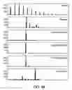 Fig. 77 - and HAC1 nucleic acids