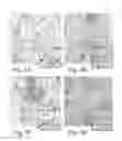 Fig. 06 - Use of Iridoptin to Induce Toxicity in Insects