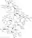 Fig. 08 - DEUTERIUM-ENRICHED TACROLIMUS