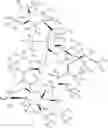 Fig. 09 - DEUTERIUM-ENRICHED TACROLIMUS