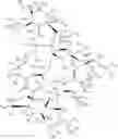 Fig. 13 - DEUTERIUM-ENRICHED TACROLIMUS
