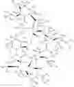 Fig. 15 - DEUTERIUM-ENRICHED TACROLIMUS