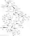 Fig. 17 - DEUTERIUM-ENRICHED TACROLIMUS