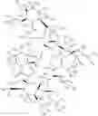 Fig. 20 - DEUTERIUM-ENRICHED TACROLIMUS