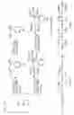 Fig. 11 - Degradable polymer and process for production thereof