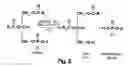 Fig. 04 - Enzymatic degumming utilizing a mixture of PLA and PLC phospholipases with reduced reaction time