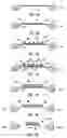 Fig. 07 - ACTIVE MICRONEEDLES AND MICRONEEDLE ARRAYS