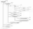 Fig. 01 - Method for determining relationships between different pressure-related signals derivable from a human or animal body or body cavity