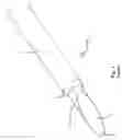 Fig. 02 - Medical tool for reduced penetration force