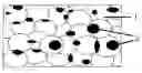 Fig. 01 - Polyurethane foam dressing for wound filler and method for manufacturing thereof