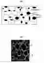 Fig. 02 - Polyurethane foam dressing for wound filler and method for manufacturing thereof