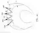 Fig. 40 - Method and apparatus for re-attaching the labrum of a hip joint