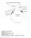 Fig. 01 - Production of hydroxylated fatty acids in genetically modified plants