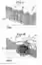 Fig. 02 - Elastic composite yarn, methods for making the same, and articles incorporating the same