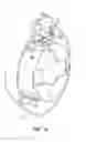 Fig. 08 - Deadbolt lock assembly