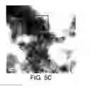 Fig. 08 - In situ synthesis of composite nanoscale particles