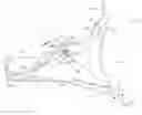 Fig. 01 - Aircraft having a pivotable powerplant