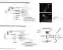 Fig. 01 - Plasmonic laser nanoablation methods