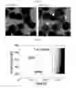 Fig. 30 - Plasmonic laser nanoablation methods