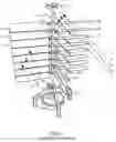 Fig. 02 - Vertical axis sail-type windmill power transfer device