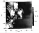 Fig. 01 - MAGNETIC NANOPARTICLES OF HYDROXYAPATITE AND PREPARATION METHOD THEREOF