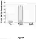 Fig. 09 - Isolation of adult multipotential cells by tissue non-specific alkaline phosphatase