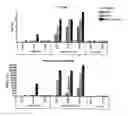 Fig. 01 - DNA immunogenic composition comprising a full-length modified poxvirus L1R gene fused to a tPA leader sequence