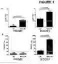 Fig. 02 - DNA immunogenic composition comprising a full-length modified poxvirus L1R gene fused to a tPA leader sequence