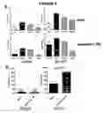 Fig. 05 - DNA immunogenic composition comprising a full-length modified poxvirus L1R gene fused to a tPA leader sequence