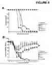 Fig. 06 - DNA immunogenic composition comprising a full-length modified poxvirus L1R gene fused to a tPA leader sequence