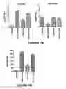 Fig. 08 - DNA immunogenic composition comprising a full-length modified poxvirus L1R gene fused to a tPA leader sequence