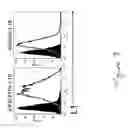 Fig. 10 - DNA immunogenic composition comprising a full-length modified poxvirus L1R gene fused to a tPA leader sequence