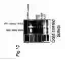 Fig. 13 - DNA immunogenic composition comprising a full-length modified poxvirus L1R gene fused to a tPA leader sequence
