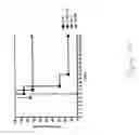 Fig. 15 - DNA immunogenic composition comprising a full-length modified poxvirus L1R gene fused to a tPA leader sequence