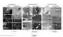 Fig. 02 - Compositions of adult disc stem cells for the treatment of degenerative disc disease