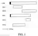 Fig. 02 - Vaccines with enhanced immune response and methods for their preparation