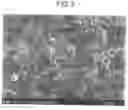 Fig. 04 - Electrode for electrochemical cell and electrochemical cell including the electrode