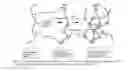 Fig. 02 - Polymeric nanocompositions comprising self-assembled organic quantum dots