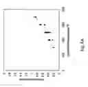 Fig. 09 - Methods of atomic layer deposition using titanium-based precursors