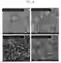 Fig. 06 - Method of preventing abnormal large grains from being included into thin nano-crystalline diamond film