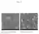 Fig. 09 - Method of preventing abnormal large grains from being included into thin nano-crystalline diamond film