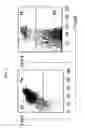 Fig. 02 - METHODS AND COMPOSITIONS FOR ASSAYING REGULATORY T CELLS