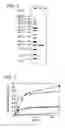 Fig. 02 - Protein-deamidating enzyme, microorganism producing the same, gene encoding the same, production process therefor, and use thereof
