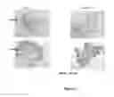 Fig. 02 - CHOROID PLEXUS PREPARATION AND USES THEREOF