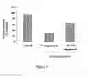 Fig. 04 - CHOROID PLEXUS PREPARATION AND USES THEREOF