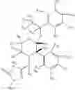 Fig. 10 - DEUTERIUM-ENRICHED APREPITANT