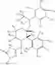 Fig. 12 - DEUTERIUM-ENRICHED APREPITANT