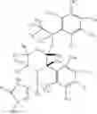 Fig. 14 - DEUTERIUM-ENRICHED APREPITANT
