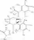 Fig. 19 - DEUTERIUM-ENRICHED APREPITANT
